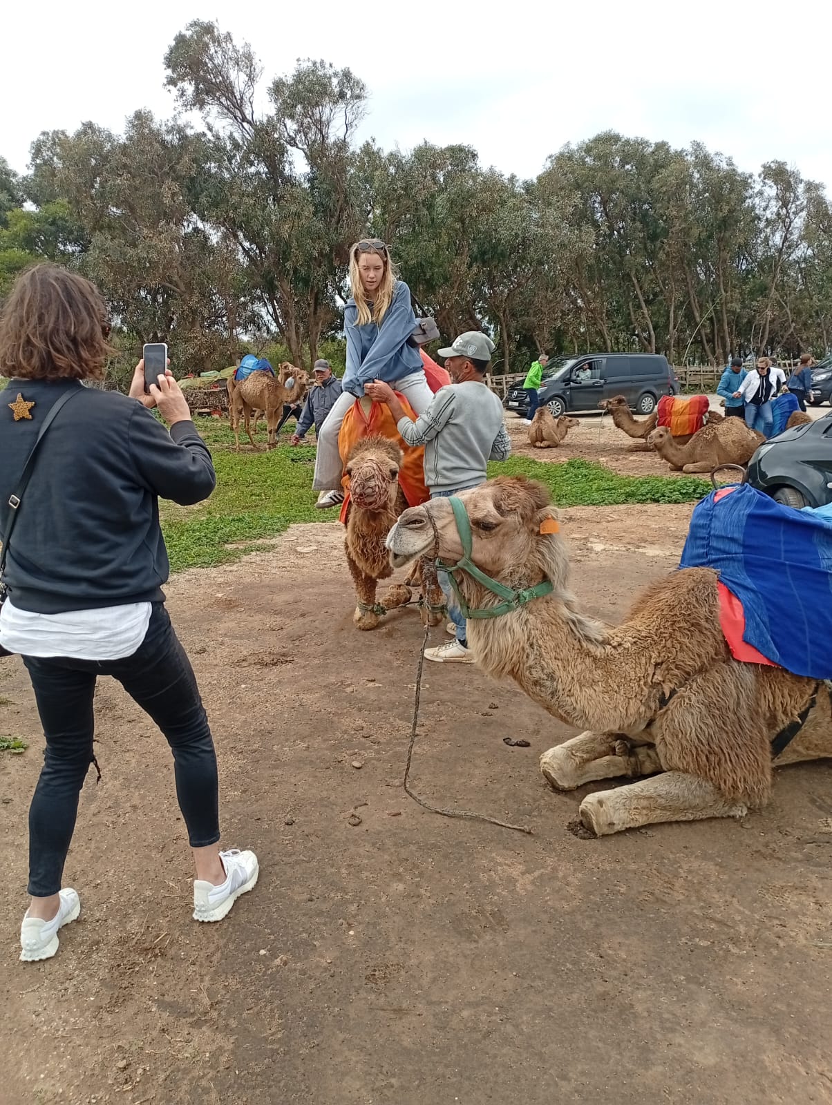 Tourists visiting a camel farm in the Moroccan countryside