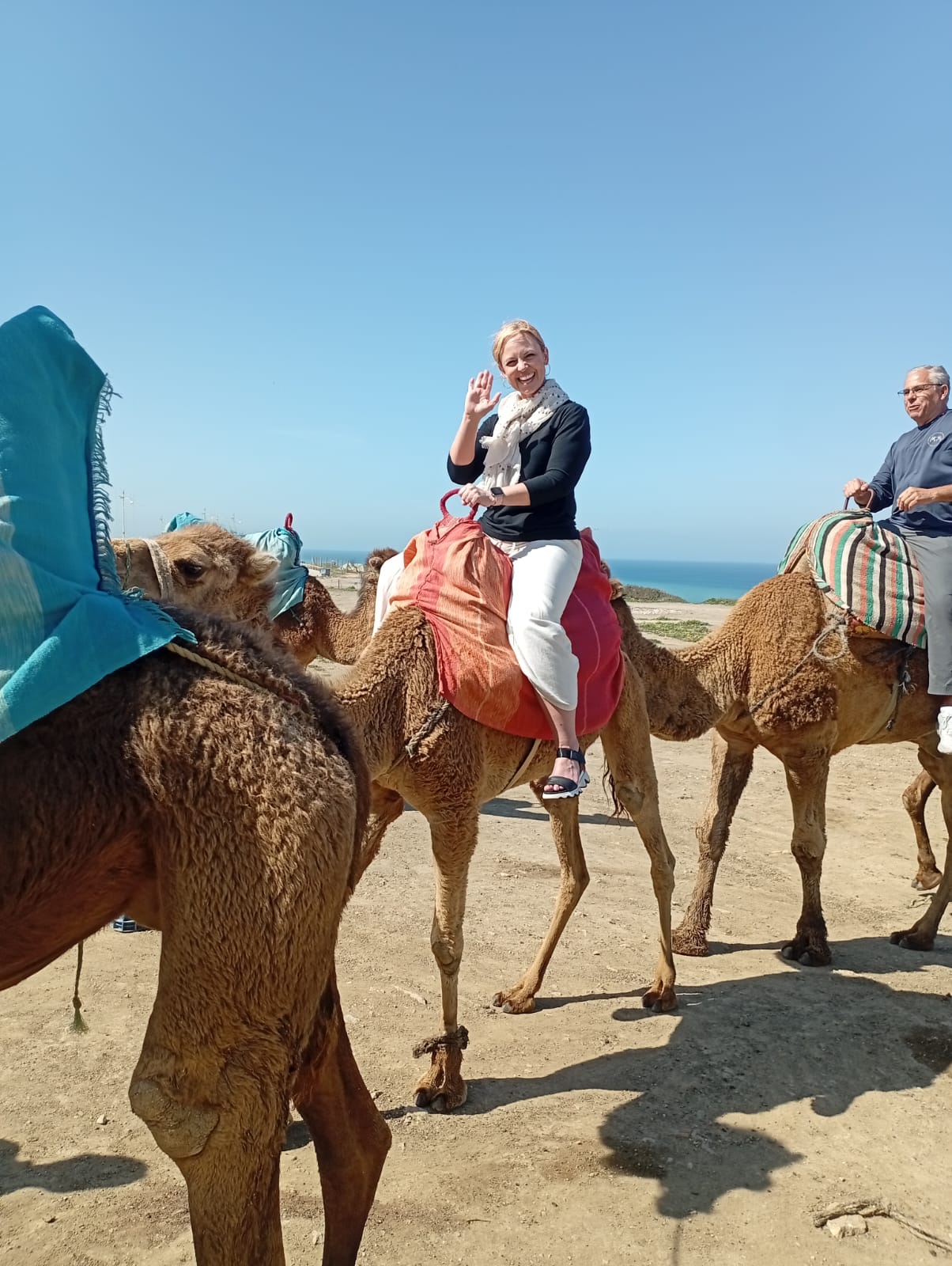 Woman enjoying a camel ride with ocean views