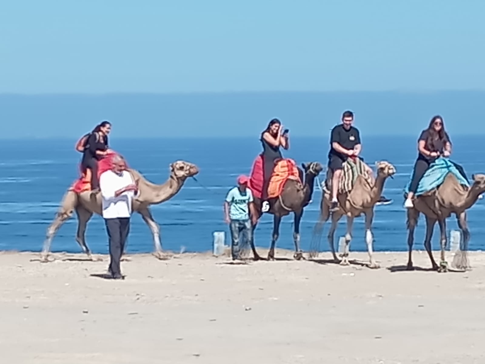 Tourists enjoying camel rides along the Moroccan coastline